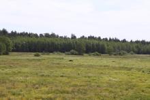 Projekt "Rozwój metapopulacji żubra w północno-wschodniej Polsce" uważamy za otwarty