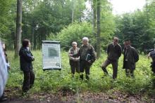 Leśnicy z Niemiec odwiedzili puszczańskie nadleśnictwa