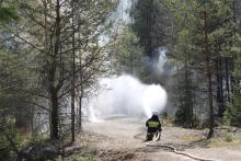 Konsultacje społeczne projektu Planu przeciwpożarowego zabezpieczenia i gaszenia pożarów lasu oraz Prognozy oddziaływania tego planu na środowisko