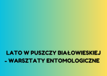 Lato w Puszczy Białowieskiej - warsztaty entomologiczne
