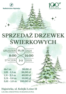 SPRZEDAŻ CHOINEK