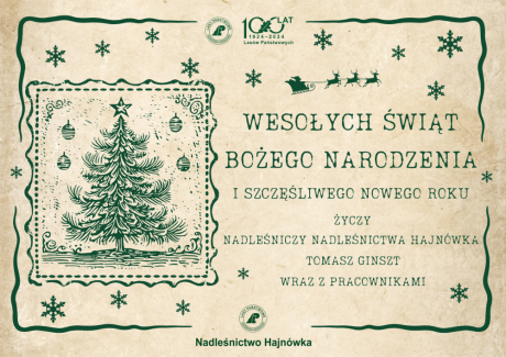 WESOŁYCH ŚWIĄT