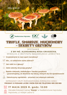 Trufle, smardze i muchomory - sekrety grzybów