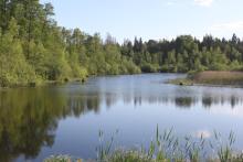 Projekt adaptacji do zmian klimatu na terenach nizinnych - kontynuacja