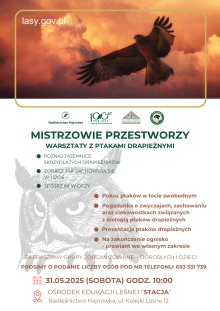 MISTRZOWIE PRZESTWORZY