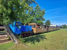 Wąskotorowe Kolejki Leśne
