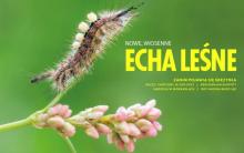 Zapraszamy do lektury wiosennych "Ech Leśnych"